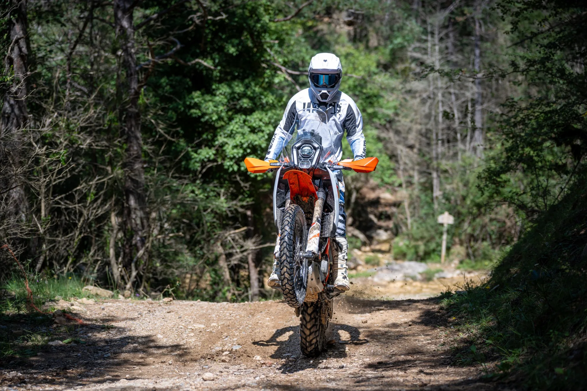 Trail